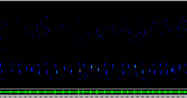 Sonogram of possible territorial or social behaviour