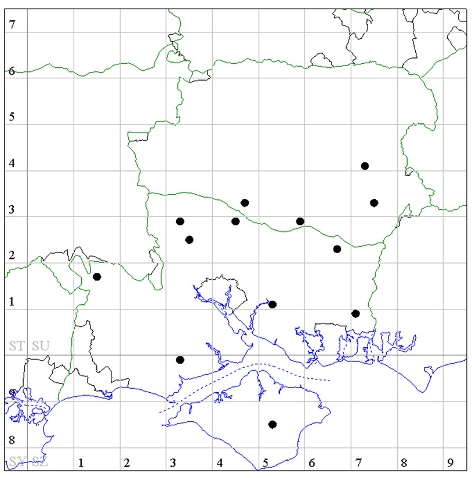 Map showing Hampshire distribution of western barbastelle