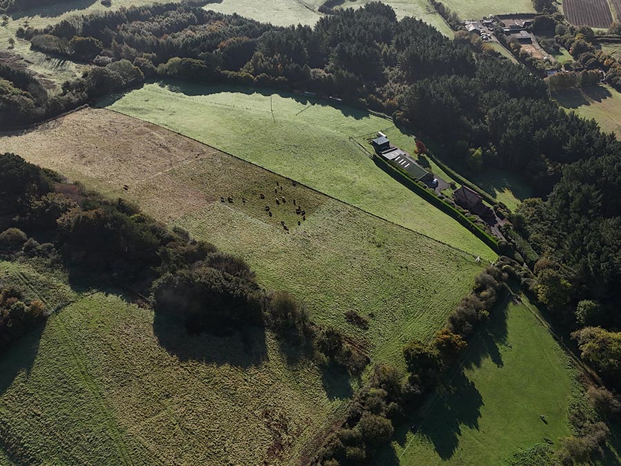 Ecological Assessment of Isle of Wight Sites of Importance for Nature Conservation (SINC)